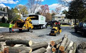 Hugo, MN Tree Services Company